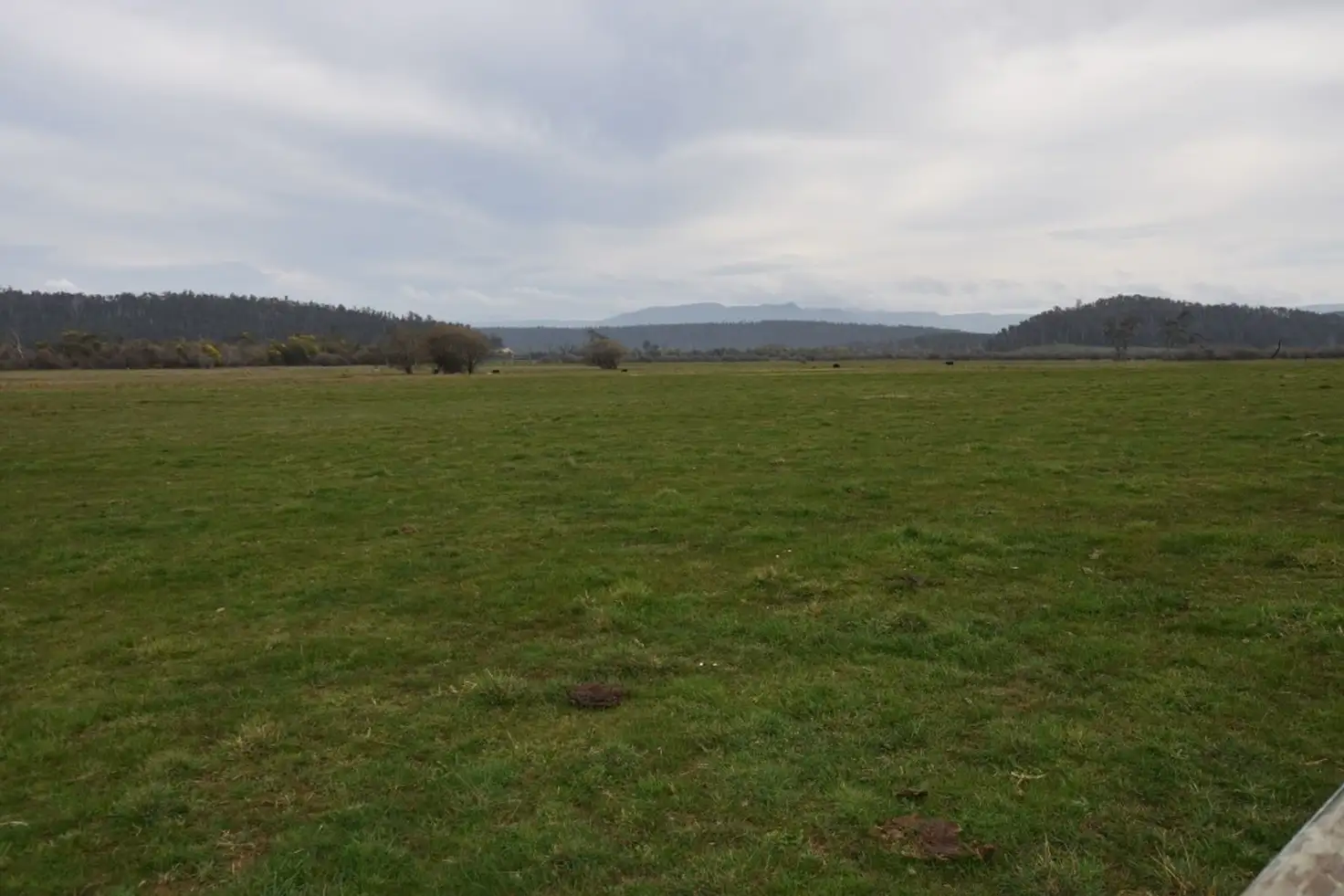 Main view of Homely rural property listing, Address available on request