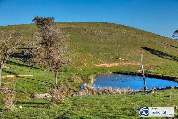 Sixth view of Homely rural property listing, 1205 Cooks Hill Road, Bango NSW 2582