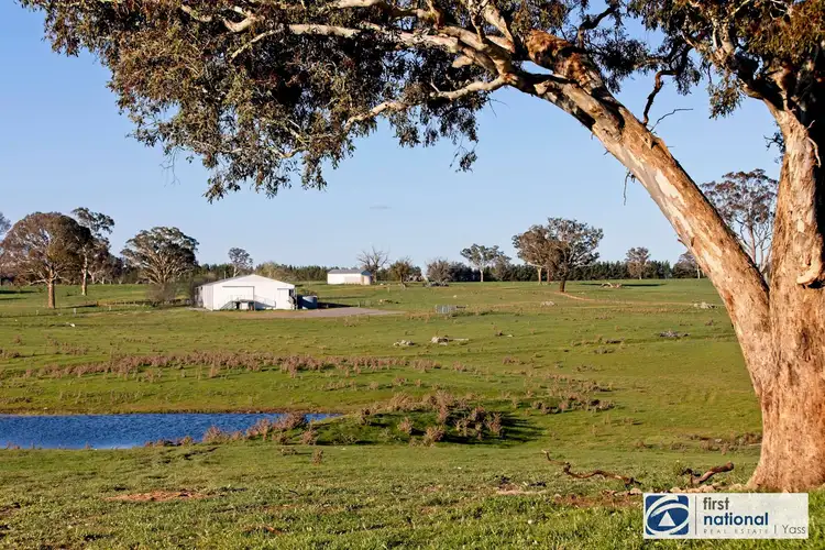 Seventh view of Homely rural property listing, 1205 Cooks Hill Road, Bango NSW 2582