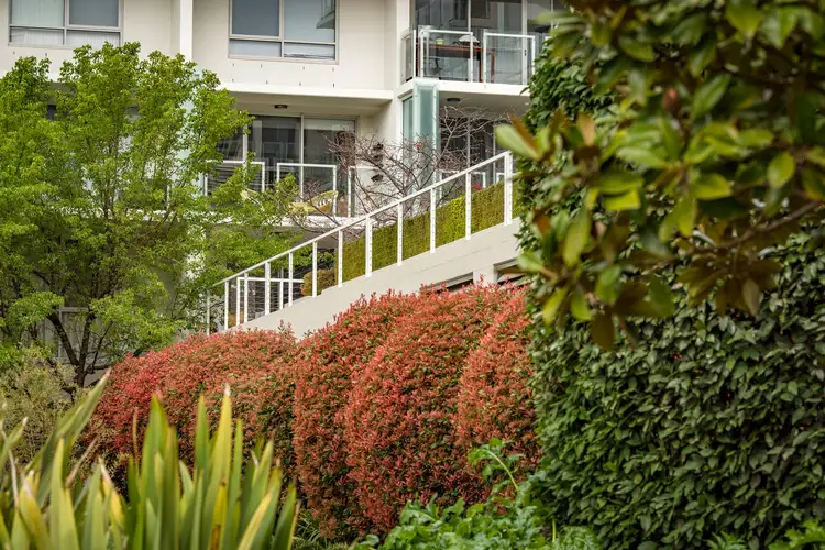 Main view of Homely apartment listing, 16/45 Blackall Street, Barton ACT 2600