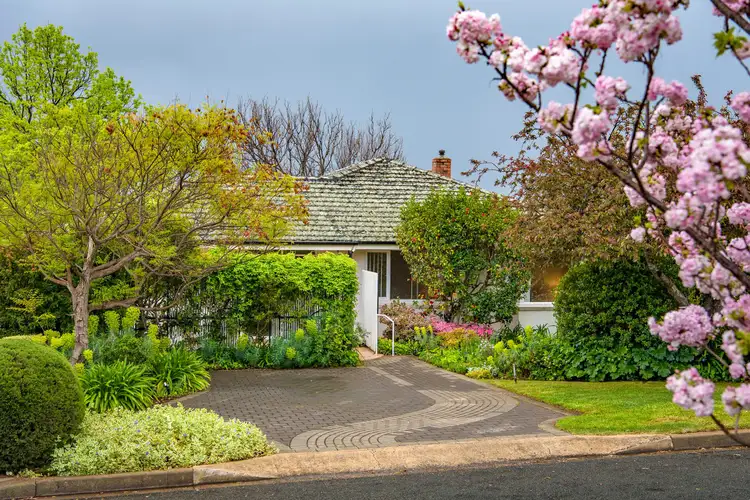 Main view of Homely house listing, 19 Lamington Street, Deakin ACT 2600