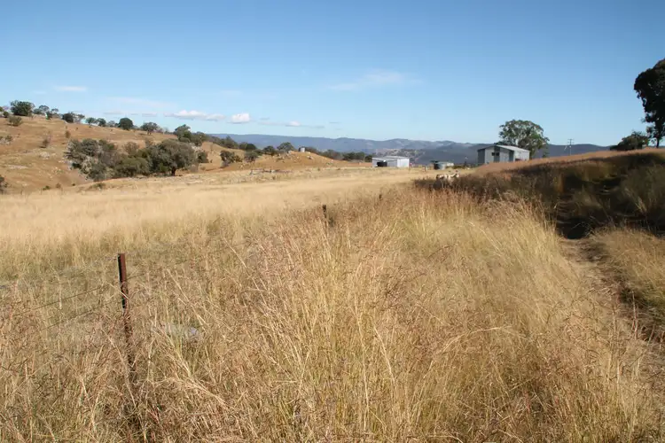 Third view of Homely rural property listing, Lot 15 Gunyah Road, Tenterfield NSW 2372