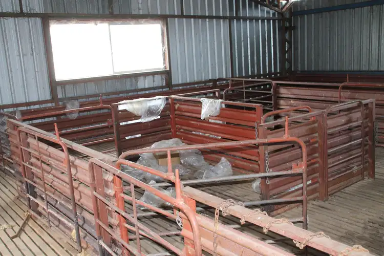Sixth view of Homely rural property listing, Lot 15 Gunyah Road, Tenterfield NSW 2372