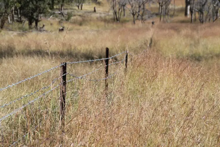 Fifth view of Homely rural property listing, Lot 44 Gunyah Road, Tenterfield NSW 2372