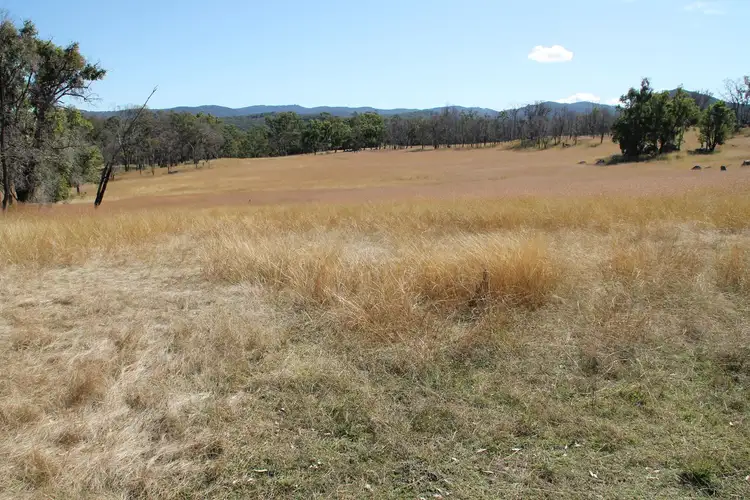 Sixth view of Homely rural property listing, Lot 44 Gunyah Road, Tenterfield NSW 2372