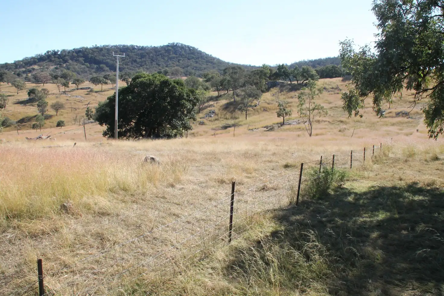 Main view of Homely rural property listing, Lot 7 Gunyah Road, Tenterfield NSW 2372