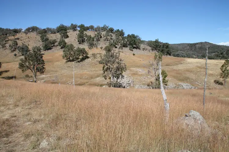 Second view of Homely rural property listing, Lot 7 Gunyah Road, Tenterfield NSW 2372