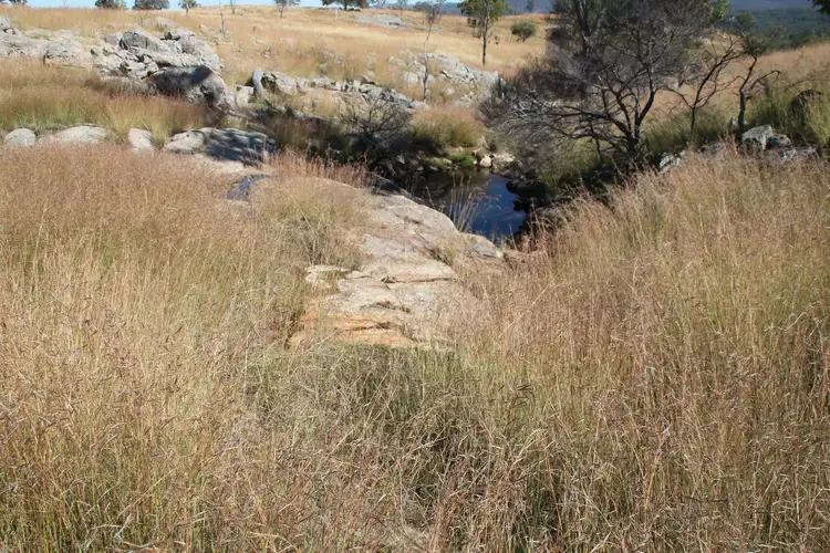 Fourth view of Homely rural property listing, Lot 7 Gunyah Road, Tenterfield NSW 2372