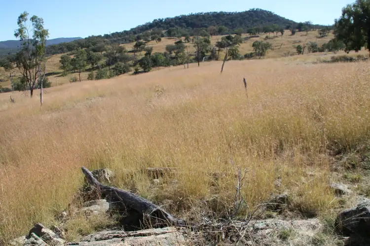 Fifth view of Homely rural property listing, Lot 7 Gunyah Road, Tenterfield NSW 2372