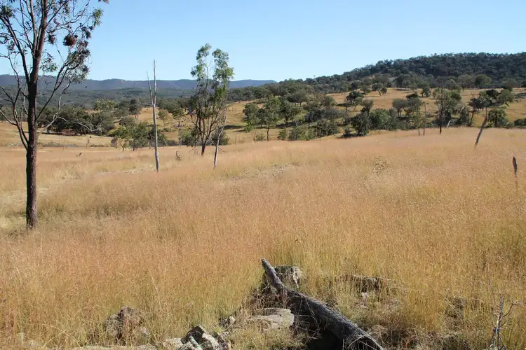 Sixth view of Homely rural property listing, Lot 7 Gunyah Road, Tenterfield NSW 2372