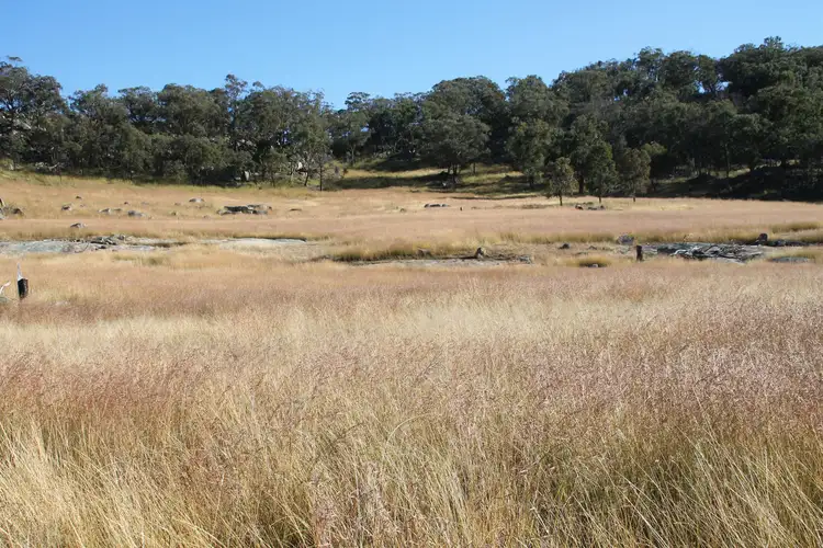 Fourth view of Homely rural property listing, Lot 27 Gunyah Road, Tenterfield NSW 2372