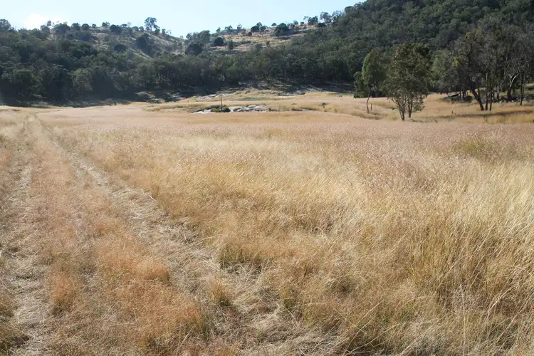 Fifth view of Homely rural property listing, Lot 27 Gunyah Road, Tenterfield NSW 2372