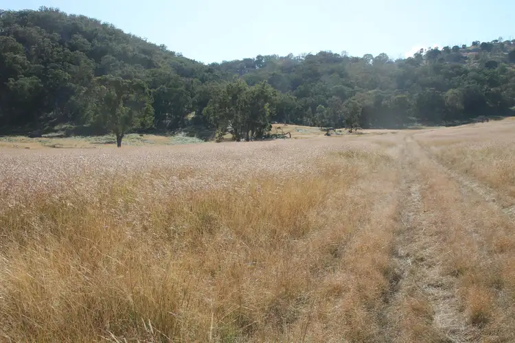 Sixth view of Homely rural property listing, Lot 27 Gunyah Road, Tenterfield NSW 2372