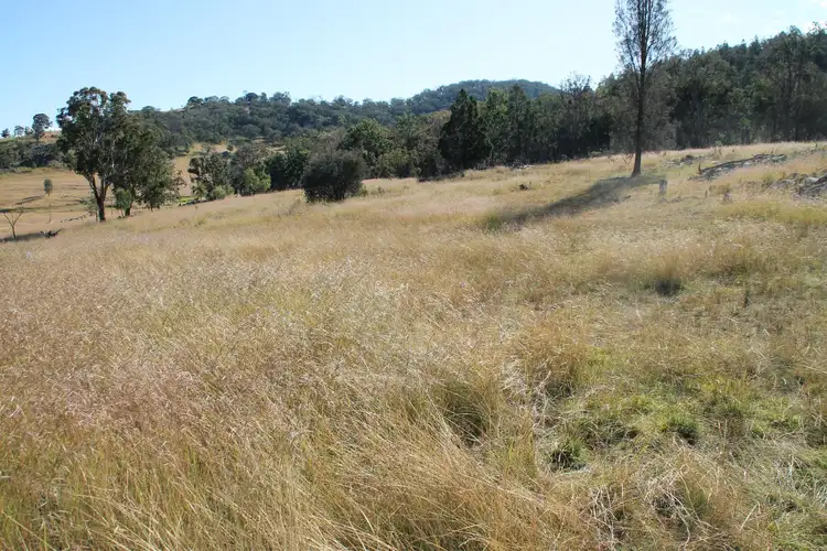 Main view of Homely rural property listing, Lot 53 Gunyah Road, Tenterfield NSW 2372