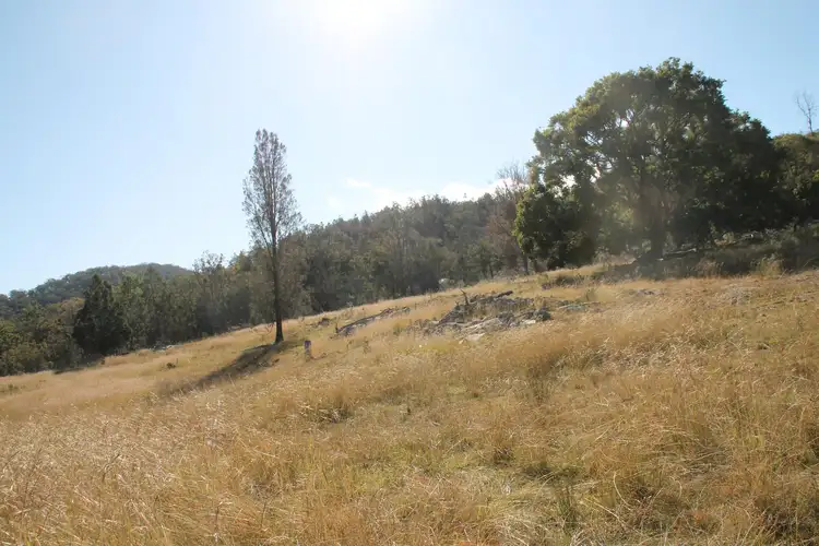 Third view of Homely rural property listing, Lot 53 Gunyah Road, Tenterfield NSW 2372