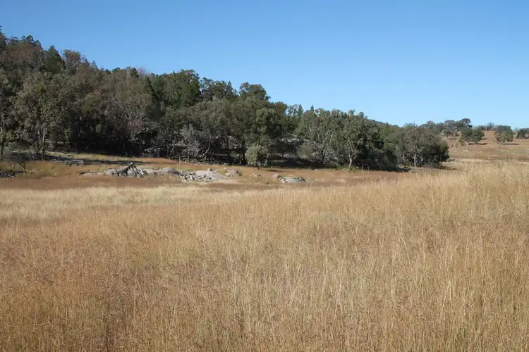 Fifth view of Homely rural property listing, Lot 53 Gunyah Road, Tenterfield NSW 2372