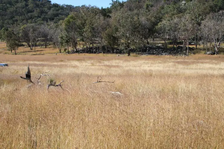 Sixth view of Homely rural property listing, Lot 53 Gunyah Road, Tenterfield NSW 2372