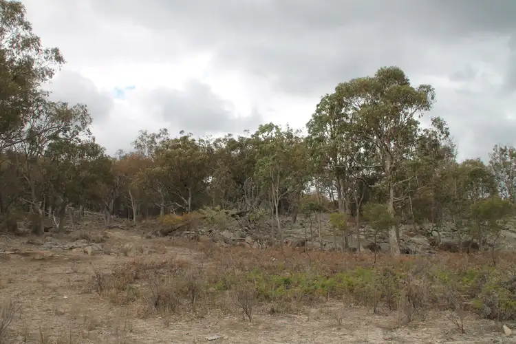 Lot 47 Gunyah Road, Tenterfield NSW 2372