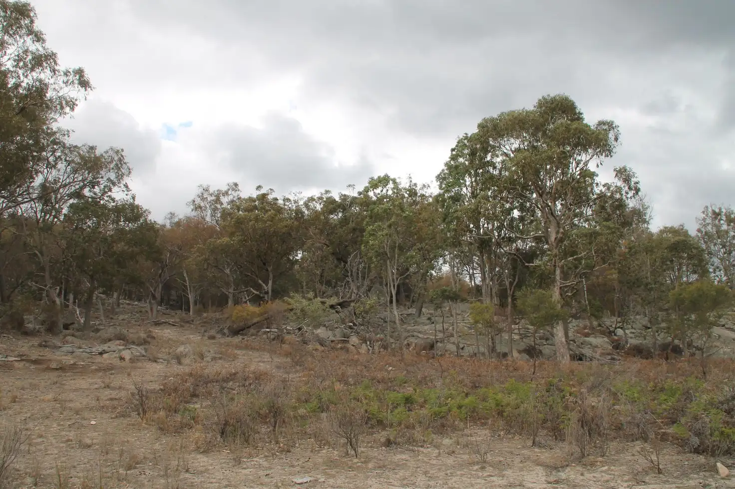 Main view of Homely rural property listing, Lot 47 Gunyah Road, Tenterfield NSW 2372