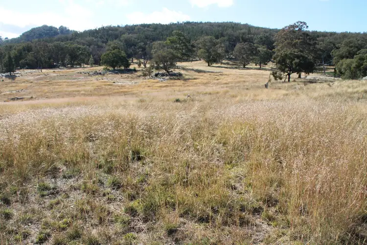 Second view of Homely rural property listing, Lot 47 Gunyah Road, Tenterfield NSW 2372