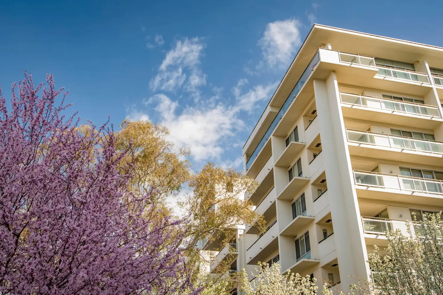 Main view of Homely apartment listing, 409/155 Northbourne Avenue, Turner ACT 2612