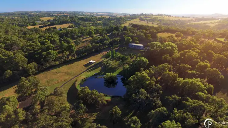 Main view of Homely house listing, 16 Blumm Road, Belgrave South VIC 3160