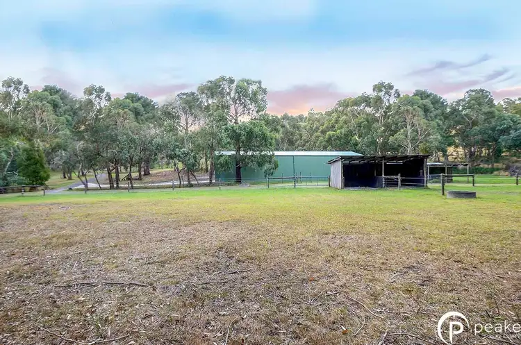 Fifth view of Homely house listing, 16 Blumm Road, Belgrave South VIC 3160