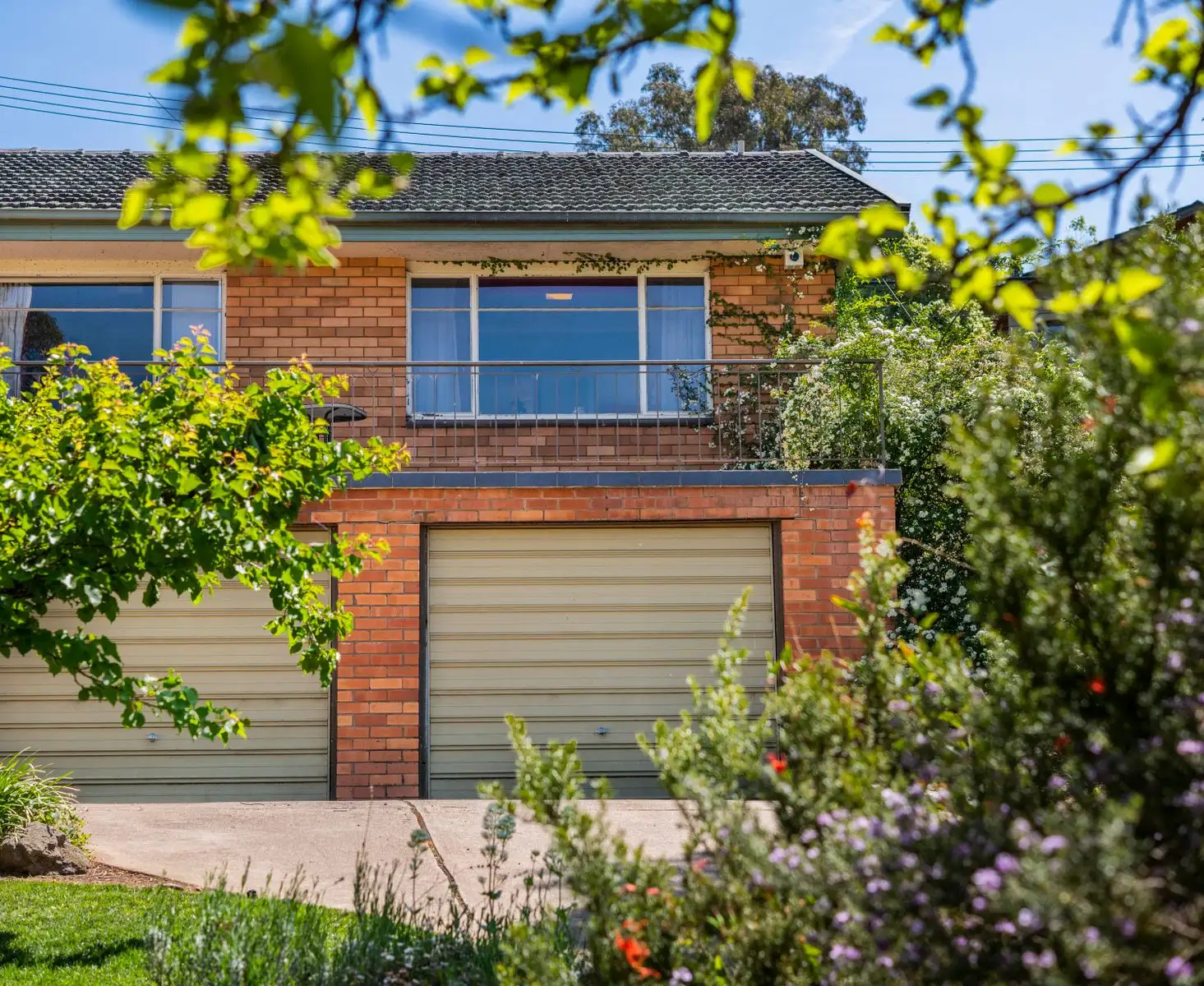 Main view of Homely house listing, 8 Butler Place, Campbell ACT 2612