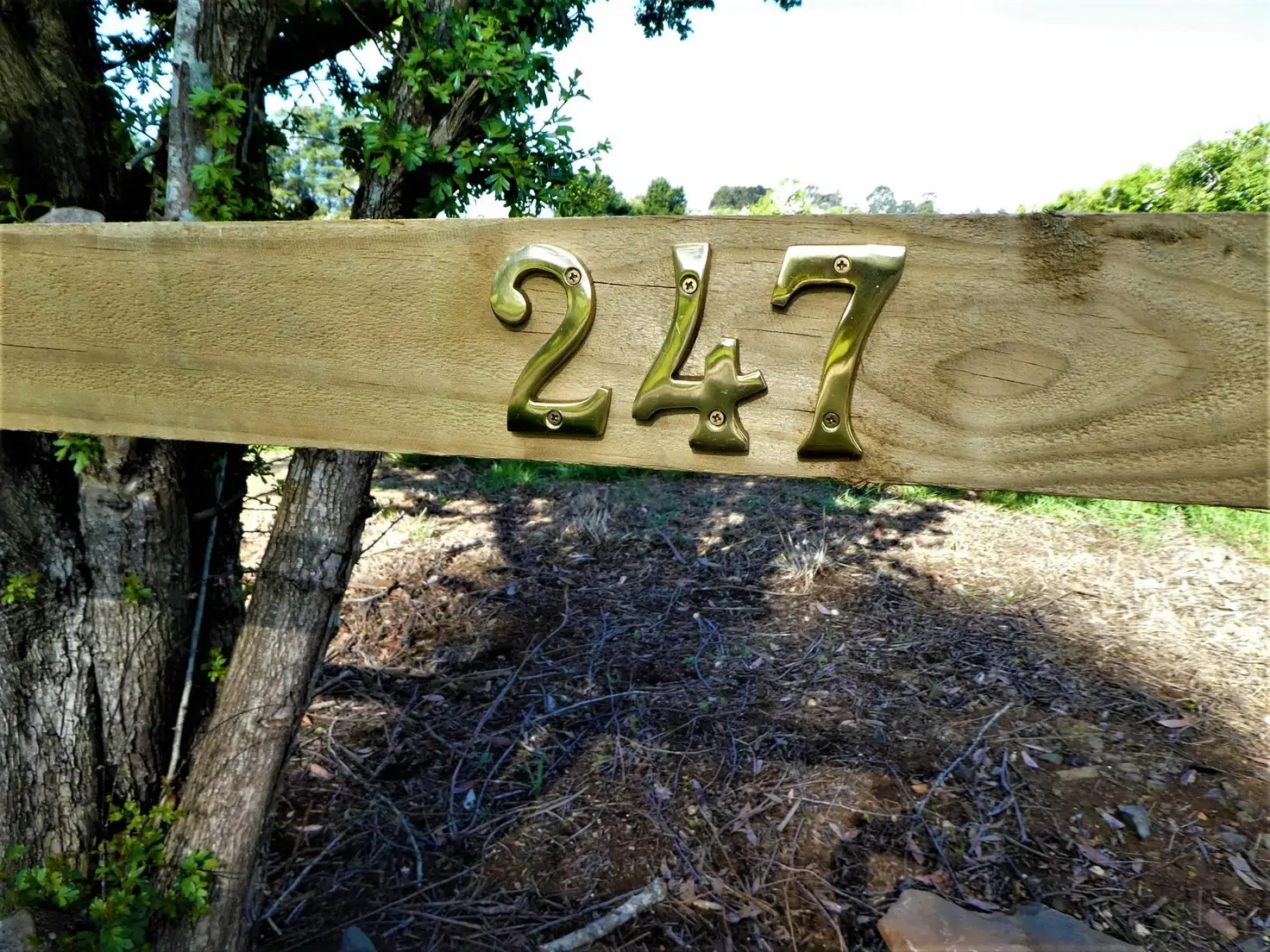 Main view of Homely land listing, 247 Ritchie Street, Westbury TAS 7303