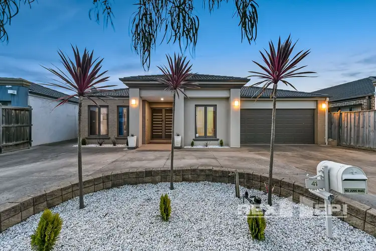 41 Hal Porter Terrace, Lynbrook VIC 3975