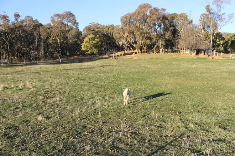 Main view of Homely land listing, 66 Mine Road, Burraga NSW 2795