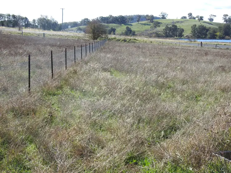 Fourth view of Homely house listing, 8 Speedy Street, Molong NSW 2866