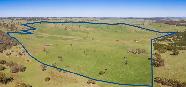 Main view of Homely rural property listing, 230 Beaconsfield Road, Black Springs NSW 2787