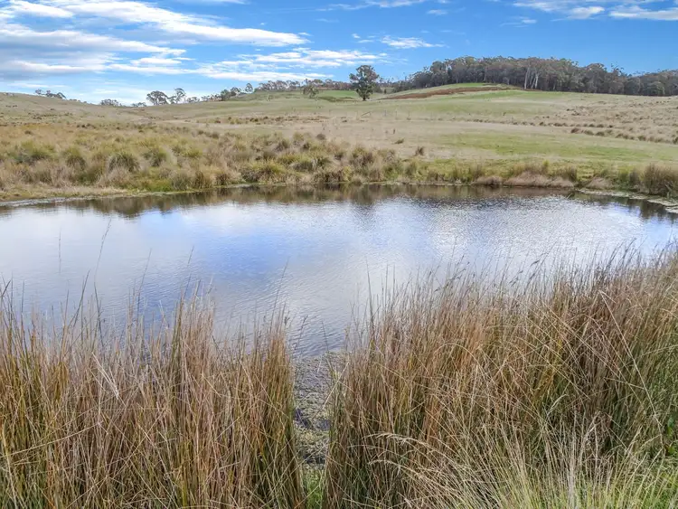 Sixth view of Homely rural property listing, 'Riverview' 402 Beaconsfield Road, Black Springs NSW 2787