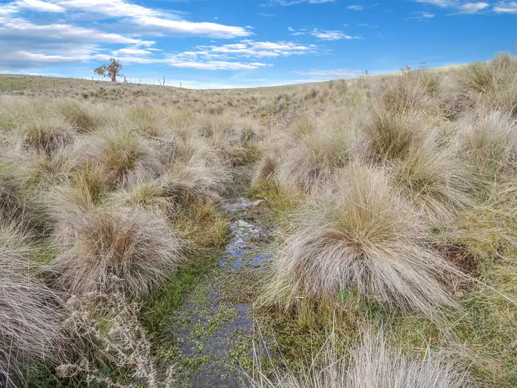 Seventh view of Homely rural property listing, 'Riverview' 402 Beaconsfield Road, Black Springs NSW 2787