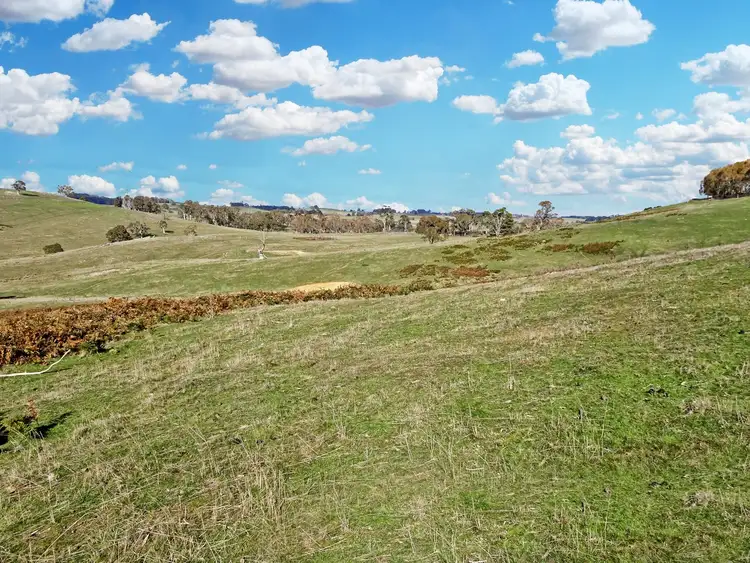 Fourth view of Homely rural property listing, 'Wattle Valley' 402 Beaconsfield Road, Black Springs NSW 2787
