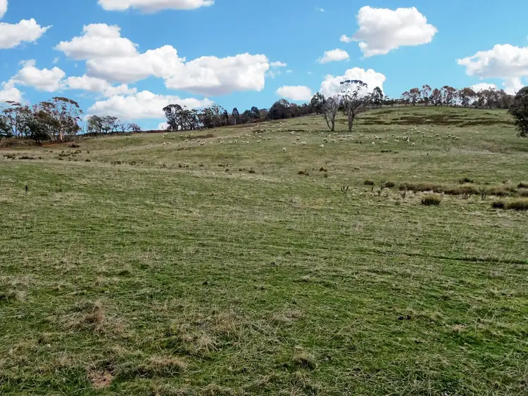 Sixth view of Homely rural property listing, 'Wattle Valley' 402 Beaconsfield Road, Black Springs NSW 2787