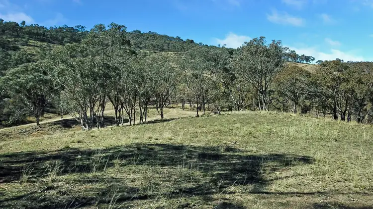 Second view of Homely rural property listing, Part 690 The Bridle Track, Duramana NSW 2795