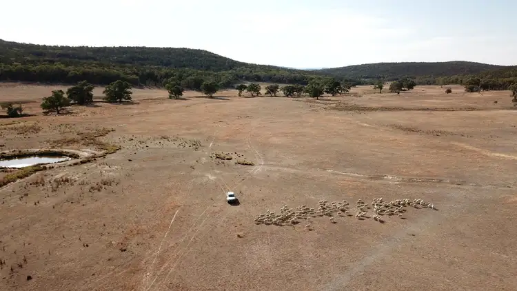 Fourth view of Homely rural property listing, Lot 10/671 Bocobra Rd, Manildra NSW 2865
