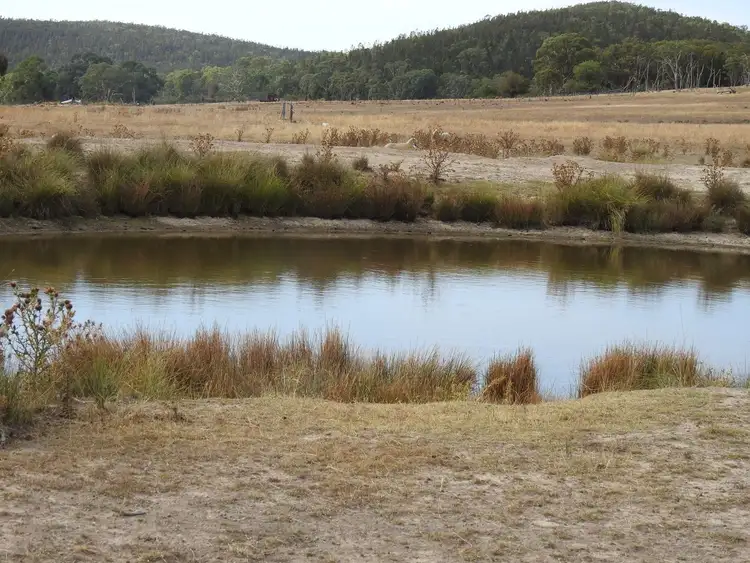 Seventh view of Homely rural property listing, Lot 10/671 Bocobra Rd, Manildra NSW 2865