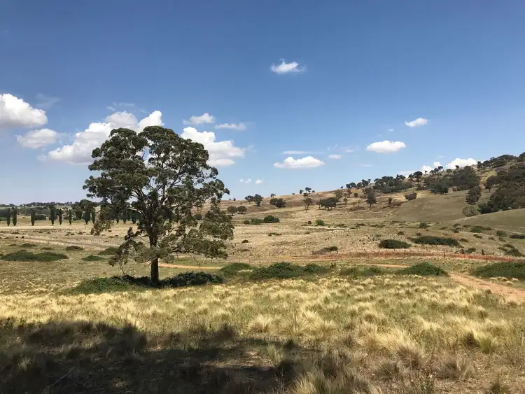 Fifth view of Homely rural property listing, 361 Millpost Creek Road, Mandurama NSW 2792