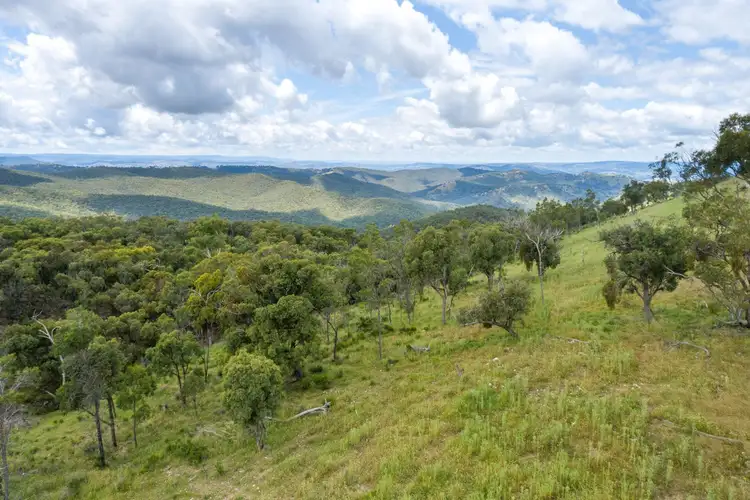 Third view of Homely rural property listing, 871 Box Ridge Road, Bruinbun NSW 2795