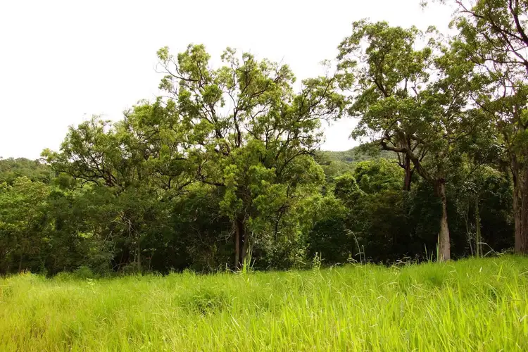 Seventh view of Homely land listing, 655 Middle Creek Road, Sarina QLD 4737