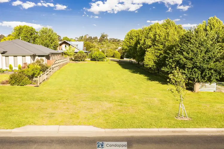 Main view of Homely land listing, 312 Settlement Road, Drouin VIC 3818