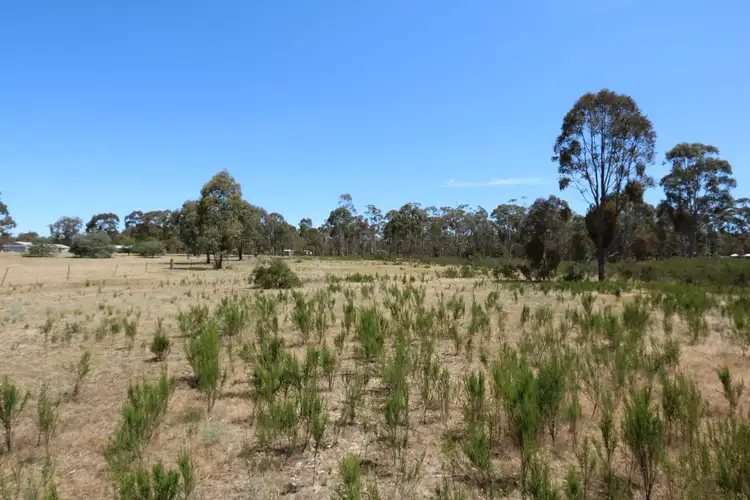 Seventh view of Homely land listing, 145 Scotts Road, Lillicur VIC 3371