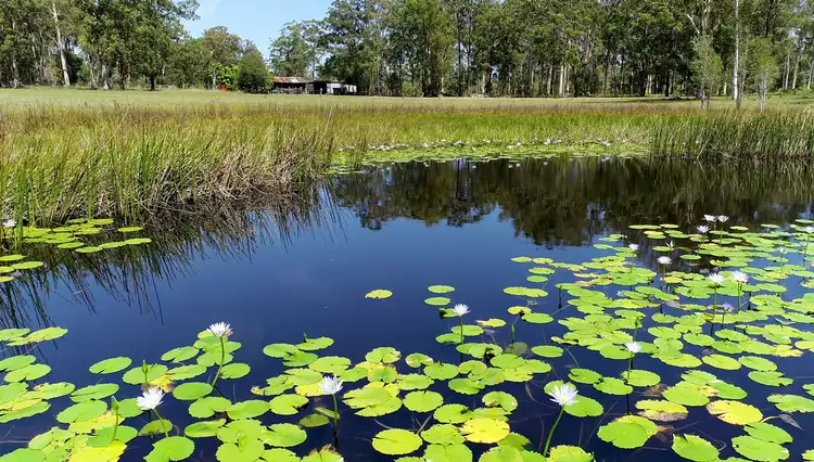 Third view of Homely rural property listing, 7176 Pacific Highway, Tabbimoble NSW 2472