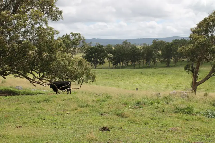 Second view of Homely rural property listing, Lot 14 Bryans Gap Road, Tenterfield NSW 2372