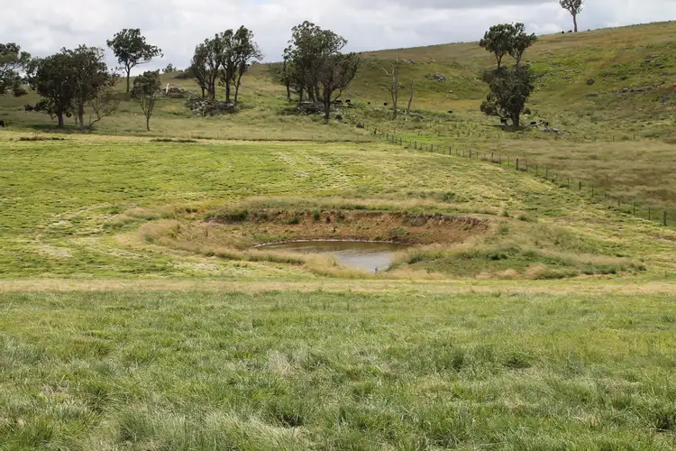 Fifth view of Homely rural property listing, Lot 14 Bryans Gap Road, Tenterfield NSW 2372