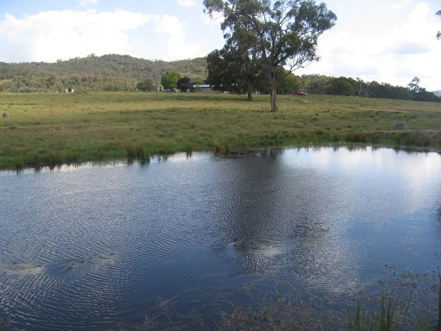 Main view of Homely rural property listing, 66 Billirimba Road, Tenterfield NSW 2372