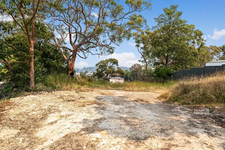 41a Auklet Road, Mount Hutton NSW 2290